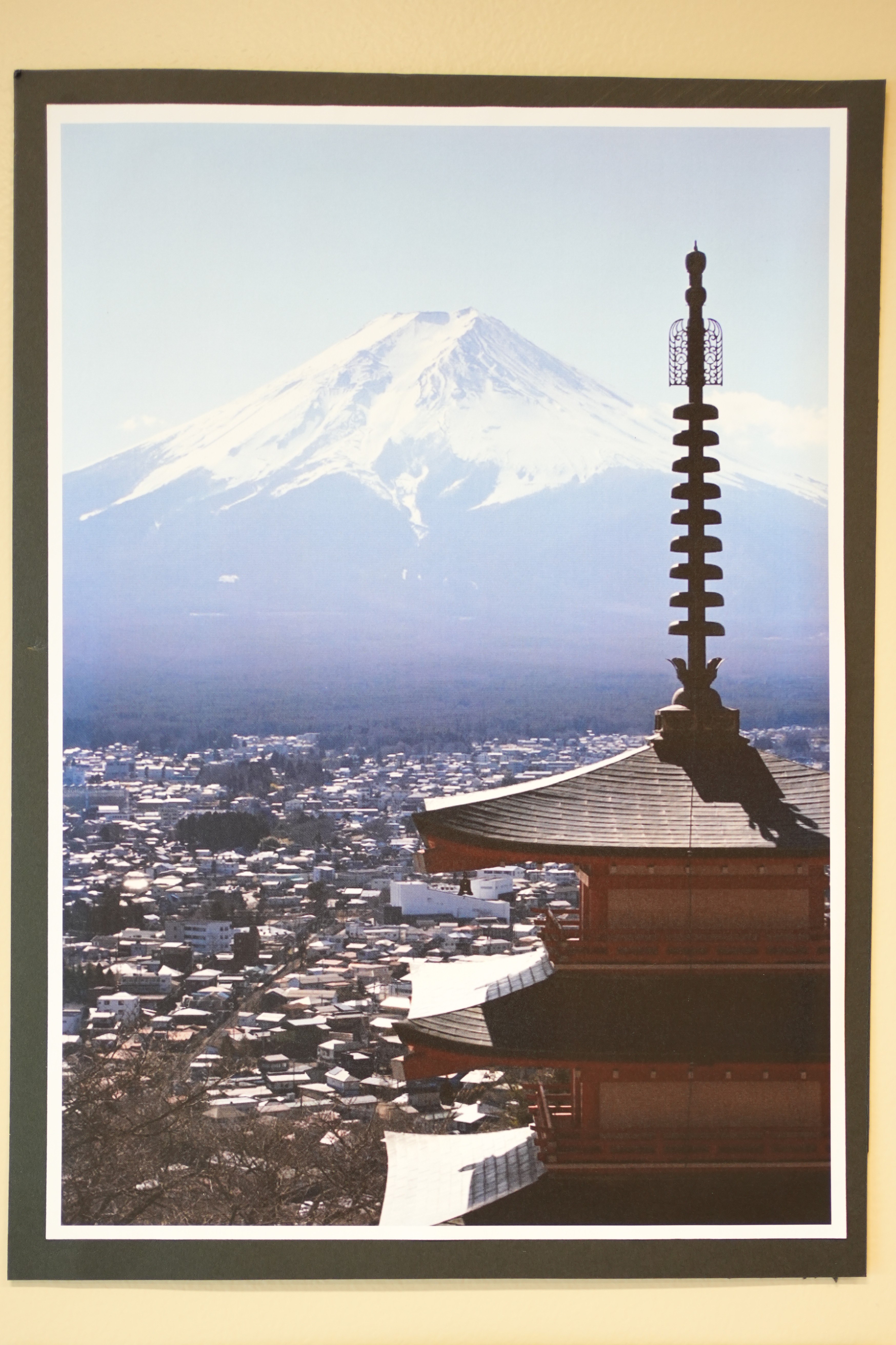 Shaya Firth - Mt. Fuji Smokey