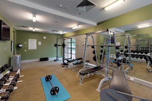 University College Gym - Modern Fitness Center… | University College